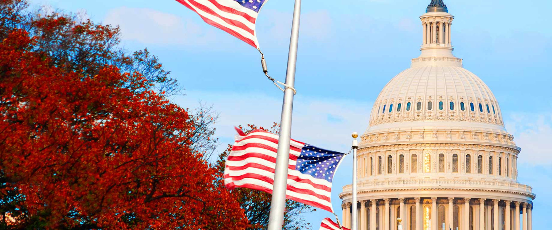 Political Alliances in Washington DC: A Comprehensive Guide