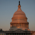 The Essential Role of Lobbyists in Washington DC Politics